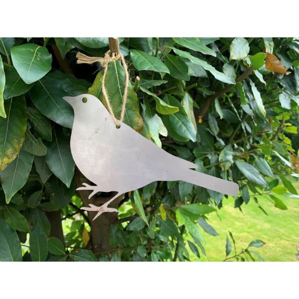 Hanging Blackbird Garden Art (Pack of 3) - Bare Metal/Ready to Rust - W20 x H15 cm