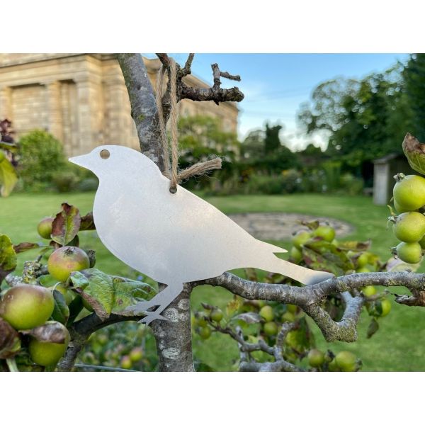 Hanging Finch Garden Art (Pack of 3) - Bare Metal/Ready to Rust - W20 x H13 cm